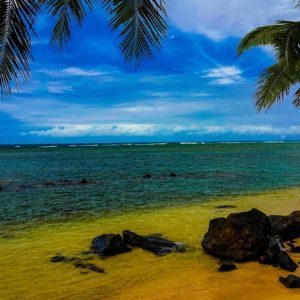 Beach - Ocean - Sunsets - Tropical